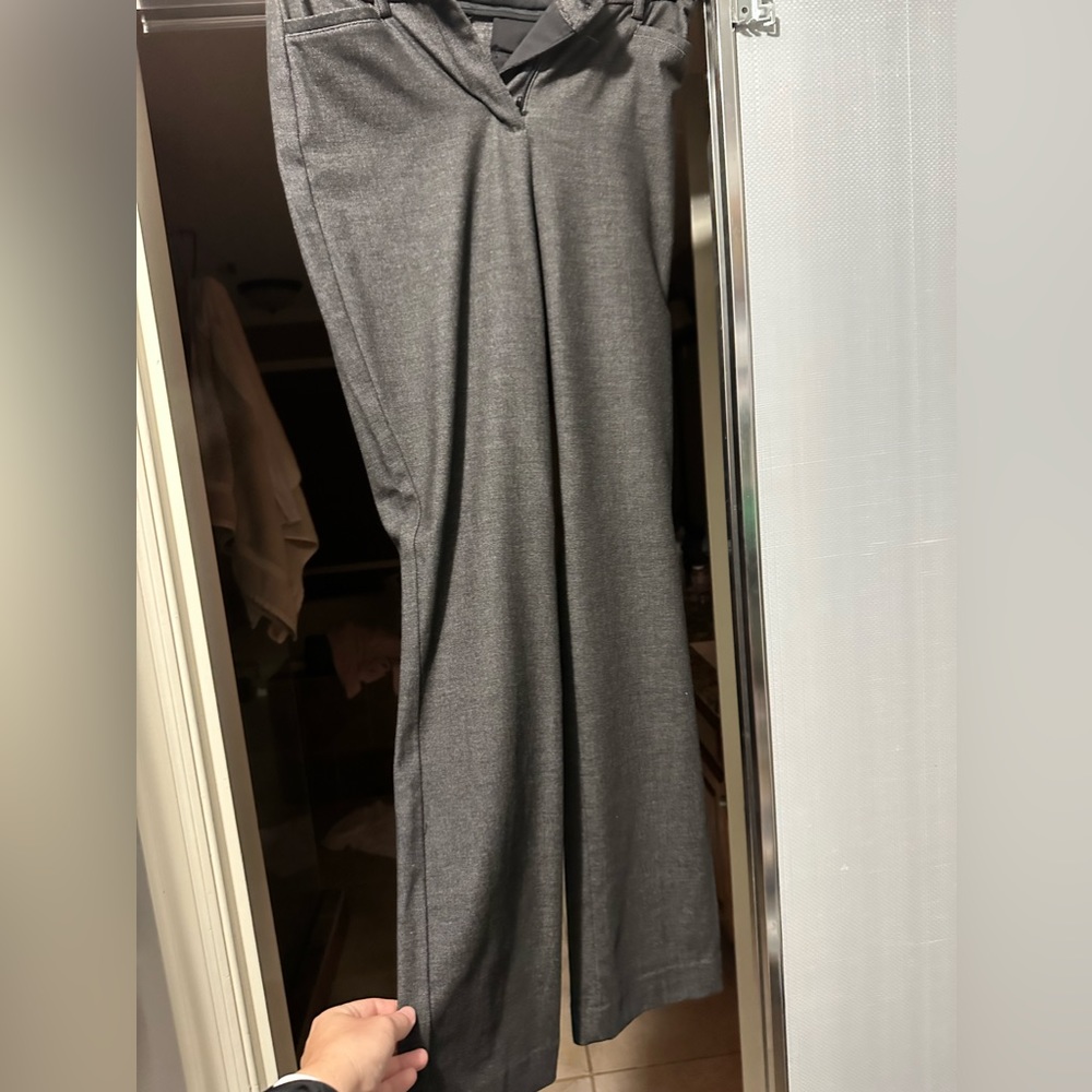 Express dress pant